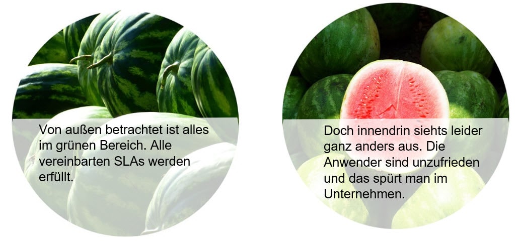 Melone von außen und aufgeschnitten von innen