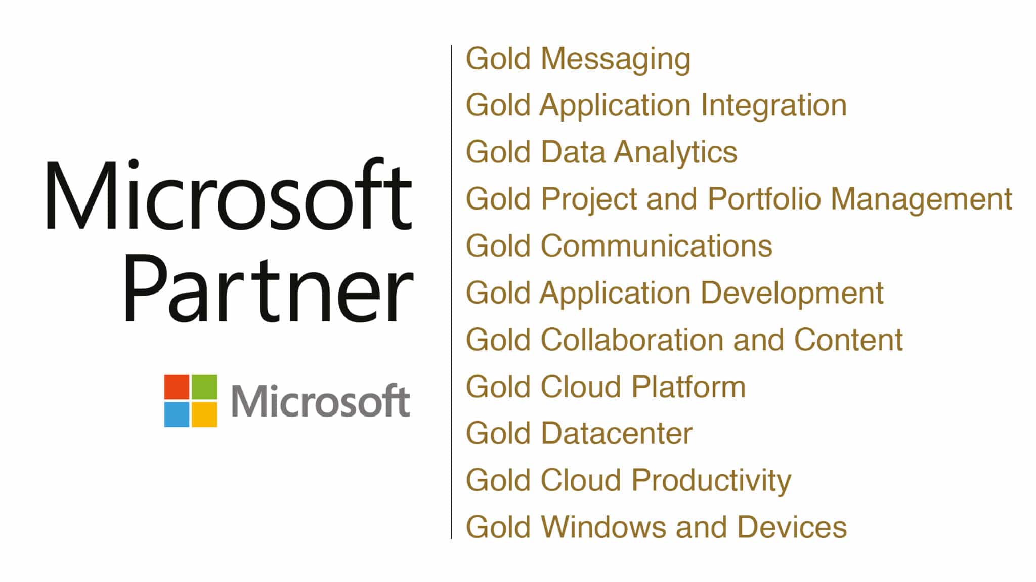 Logo Microsoft Gold Partner mit 11 Kompetenzen